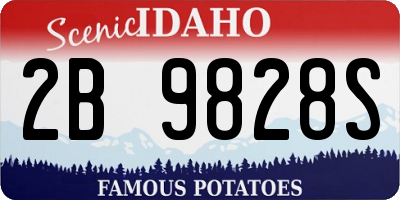 ID license plate 2B9828S