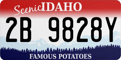 ID license plate 2B9828Y