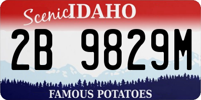 ID license plate 2B9829M