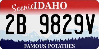 ID license plate 2B9829V
