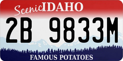ID license plate 2B9833M