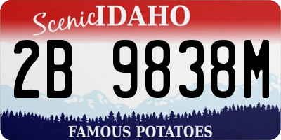 ID license plate 2B9838M