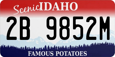 ID license plate 2B9852M