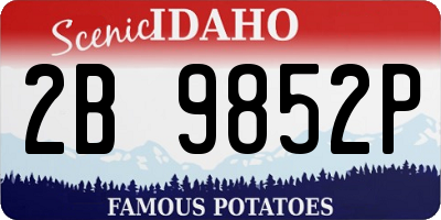 ID license plate 2B9852P