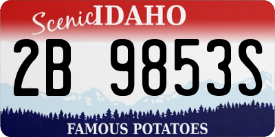 ID license plate 2B9853S