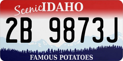 ID license plate 2B9873J