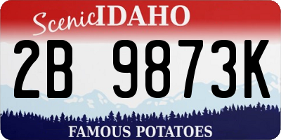 ID license plate 2B9873K