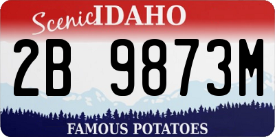 ID license plate 2B9873M
