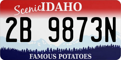 ID license plate 2B9873N