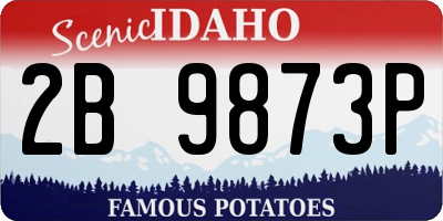ID license plate 2B9873P