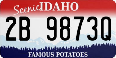 ID license plate 2B9873Q
