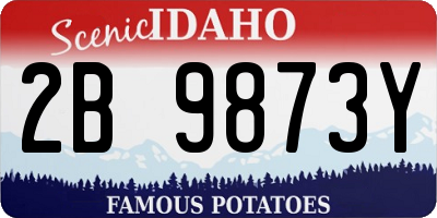 ID license plate 2B9873Y