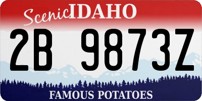 ID license plate 2B9873Z