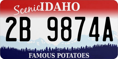 ID license plate 2B9874A