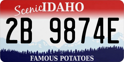 ID license plate 2B9874E
