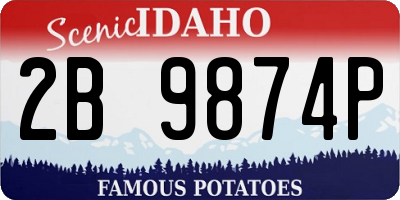 ID license plate 2B9874P