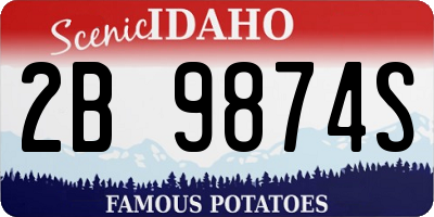 ID license plate 2B9874S