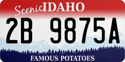 ID license plate 2B9875A