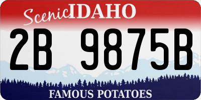 ID license plate 2B9875B