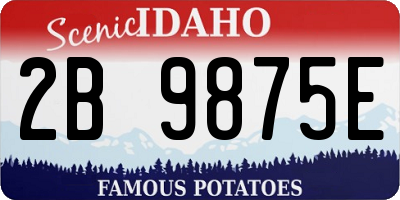 ID license plate 2B9875E