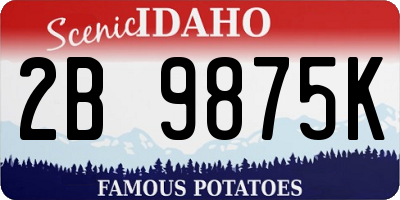 ID license plate 2B9875K