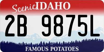 ID license plate 2B9875L