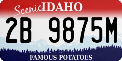 ID license plate 2B9875M