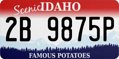 ID license plate 2B9875P