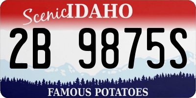 ID license plate 2B9875S