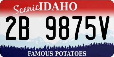 ID license plate 2B9875V