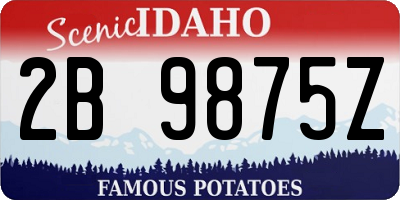 ID license plate 2B9875Z