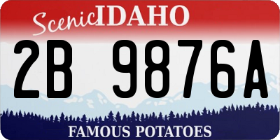 ID license plate 2B9876A