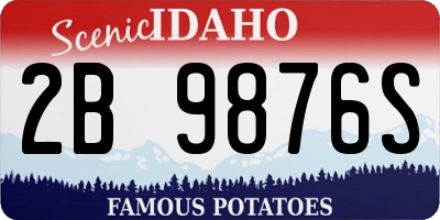 ID license plate 2B9876S