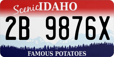 ID license plate 2B9876X