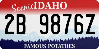 ID license plate 2B9876Z