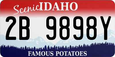 ID license plate 2B9898Y
