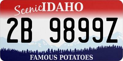ID license plate 2B9899Z