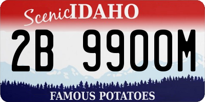 ID license plate 2B9900M