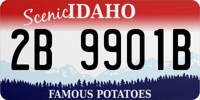 ID license plate 2B9901B