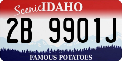 ID license plate 2B9901J