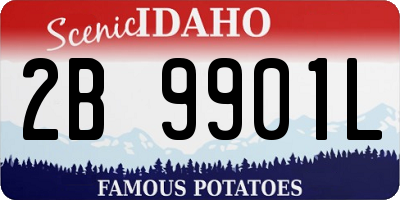 ID license plate 2B9901L