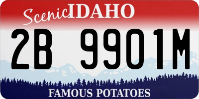 ID license plate 2B9901M