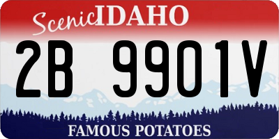 ID license plate 2B9901V