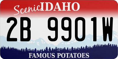 ID license plate 2B9901W