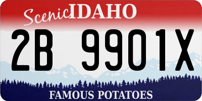 ID license plate 2B9901X