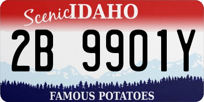 ID license plate 2B9901Y