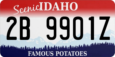 ID license plate 2B9901Z