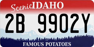 ID license plate 2B9902Y