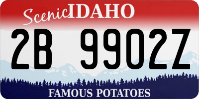 ID license plate 2B9902Z