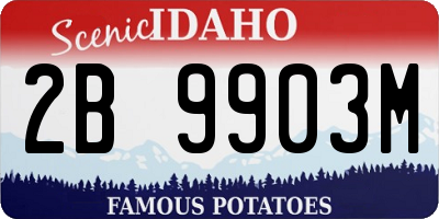 ID license plate 2B9903M